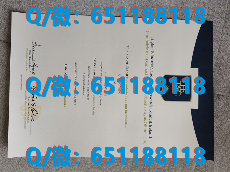 莱特克里夫学院_莱特大学_爱尔兰莱特肯尼理工学院-（毕业证、文凭、成绩单、认证入网） (2)
