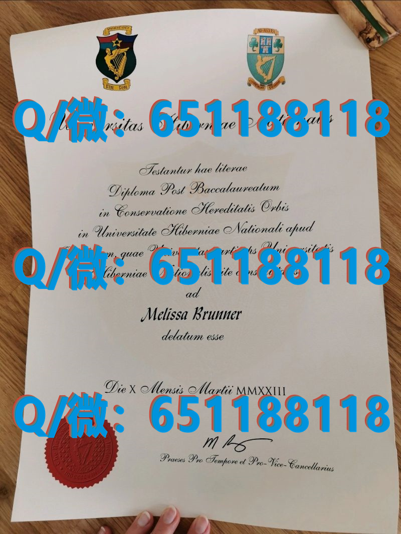 德国毕业证书_德国毕业证怎么查真假_德国杜塞尔多夫大学（毕业证、文凭、成绩单、认证入网）