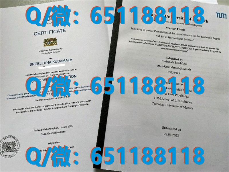法国rncp文凭有效期_法国里昂第一大学（毕业证、文凭、成绩单、认证入网）_法国留学文凭认证