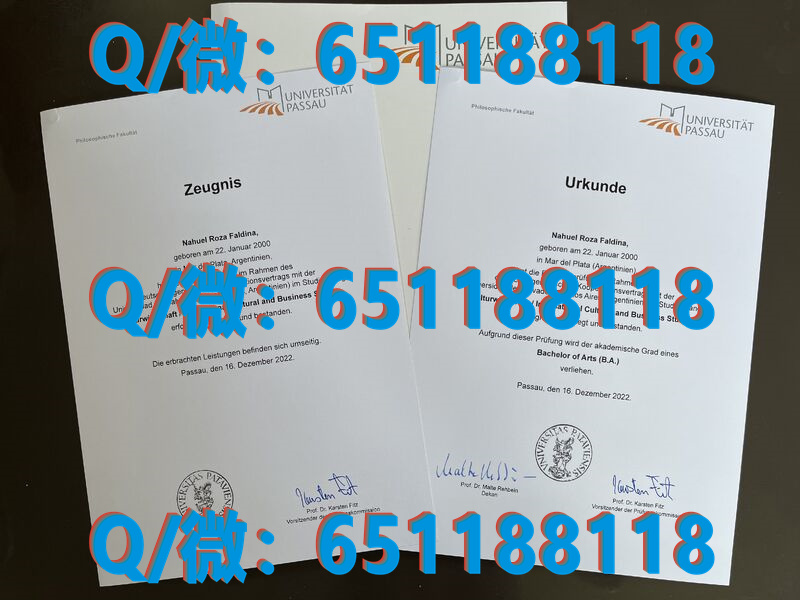 德国科布伦茨应用技术大学（毕业证、文凭、成绩单、认证入网）_德国毕业证怎么查真假_德国学历证书