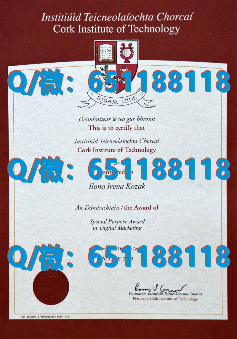 加拿大毕业证国内认证_加拿大瀑布应用艺术及技术学院 (2)（毕业证、文凭、成绩单、认证入网）_加拿大毕业证书