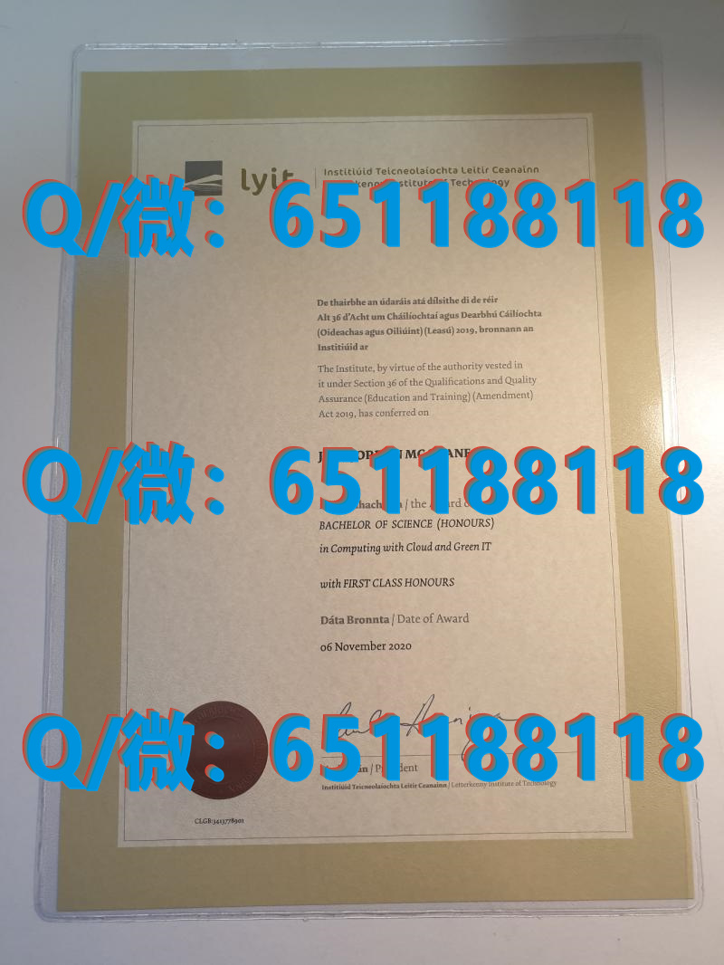 法国洛林大学 (2)（毕业证、文凭、成绩单、认证入网）_法国留学文凭认证_法国大学毕业证书