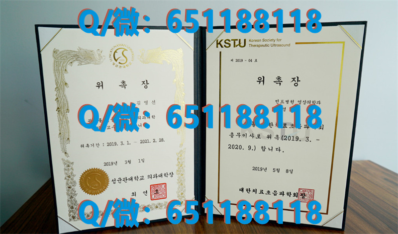 德国汉堡港有什么劣势_德国汉堡港口城市大学（毕业证、文凭、成绩单、认证入网）_汉堡港的德语