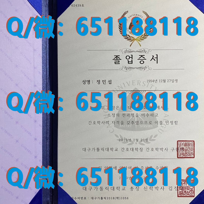 德国毕业证书_德国弗赖堡师范学院（毕业证、文凭、成绩单、认证入网）_德国师范专业