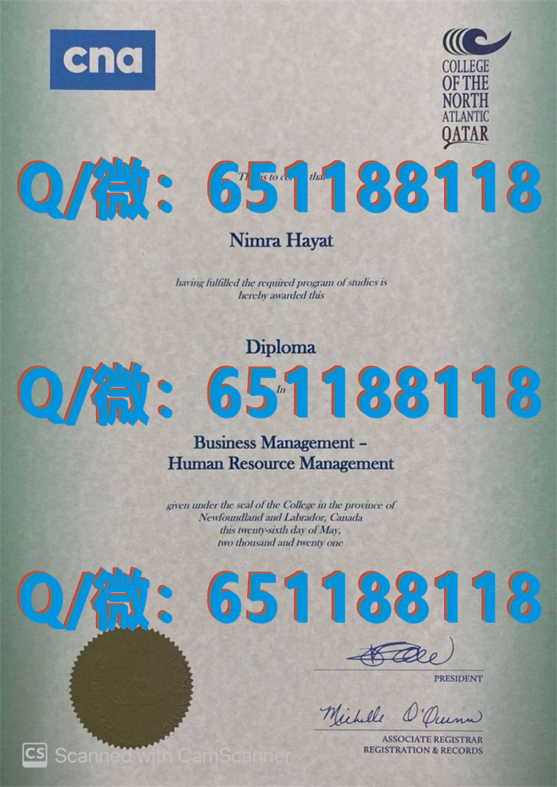德国大学学历认证_德国吕讷堡大学 (2)（毕业证、文凭、成绩单、认证入网）_德国毕业证怎么查真假