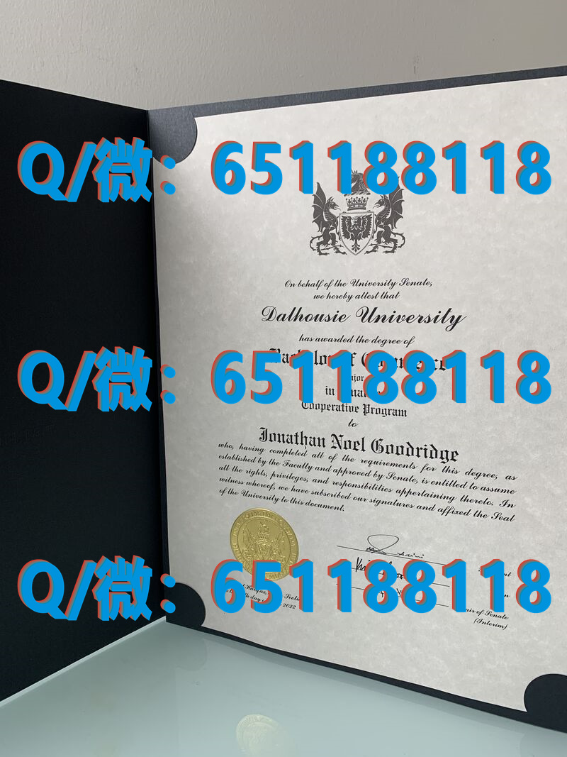 法国里昂第三大学（毕业证、文凭、成绩单、认证入网）_法国rncp文凭有效期_法国毕业证一年后发学历认证
