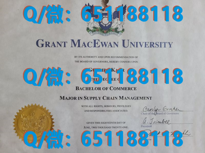 德国汉堡技术应用大学_德国汉堡—哈尔堡工业大学（毕业证、文凭、成绩单、认证入网）_汉堡大学毕业证