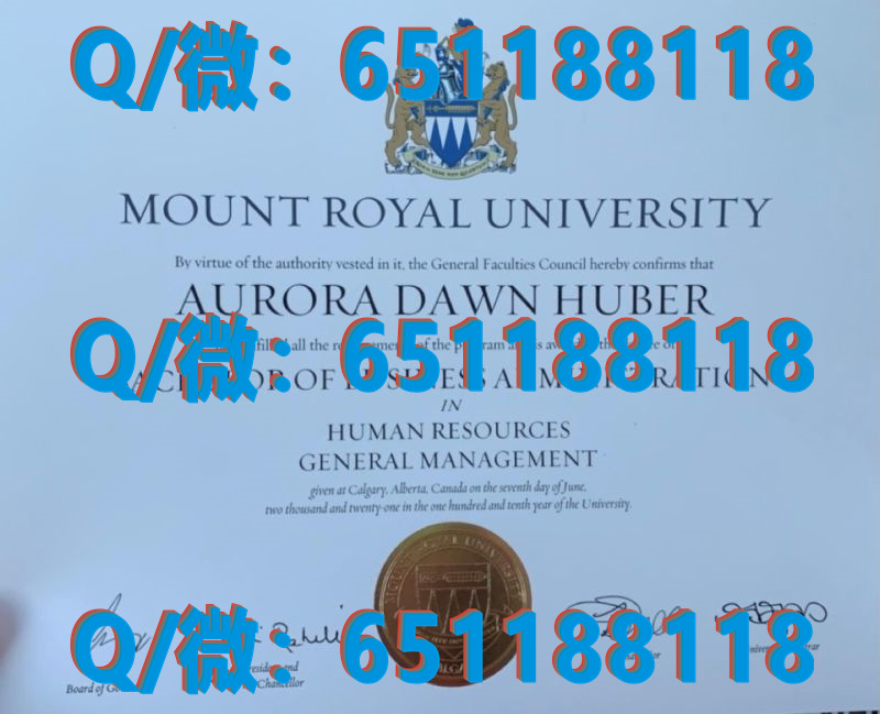 德国学历证书_德国毕业证怎么查真假_德国达姆施塔特工业大学（毕业证、文凭、成绩单、认证入网）