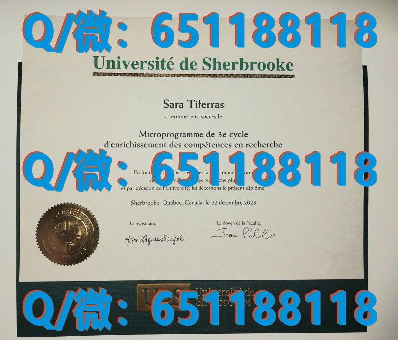 德国毕业证书_德国毕业证怎么查真假_德国吕讷堡大学（毕业证、文凭、成绩单、认证入网）