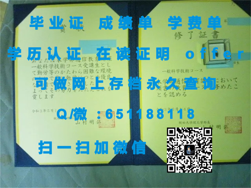 大阪大学毕业证文凭样本OSAKA UNIVERSITY（定制毕业证、文凭、成绩单、认证入网、OFFER）_日本大学毕业证模板_毕业证明书日本