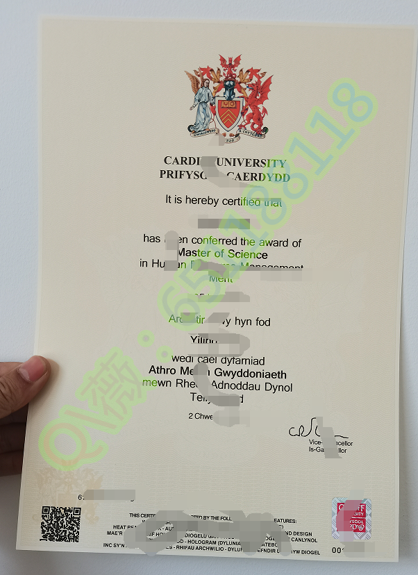 卡迪夫大学.png