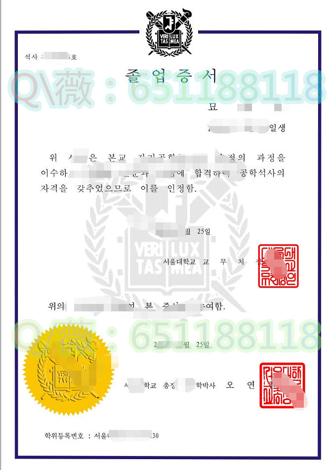 韩国首尔大学.png