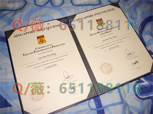 新加坡理工学院毕业证.jpg