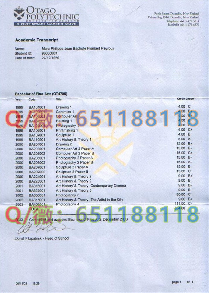奥塔哥理工学院成绩单样本.jpg