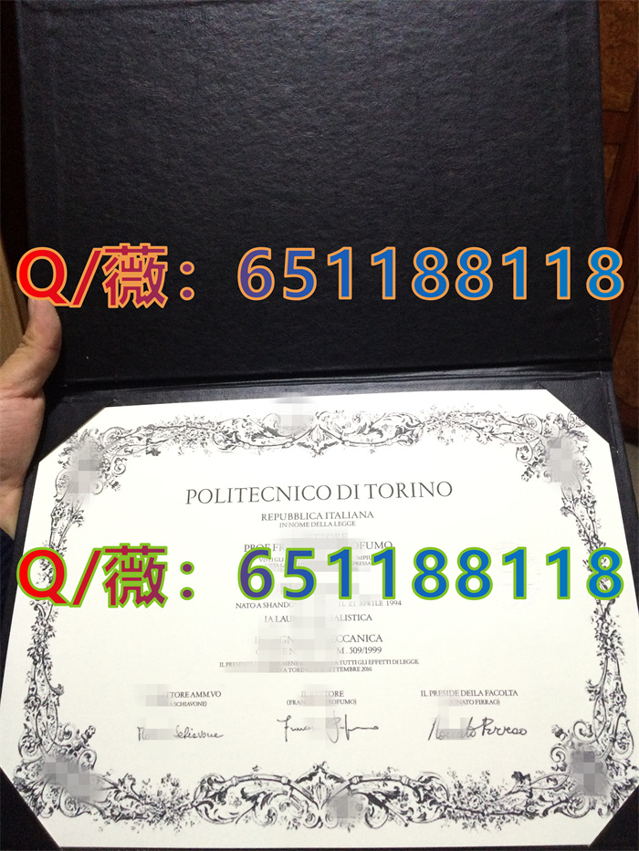 都灵理工大学_副本.jpg