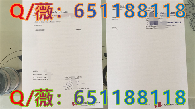 鹿特丹高等专业大学_副本.png