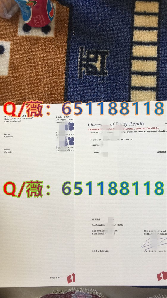 鹿特丹管理学院_副本.jpg