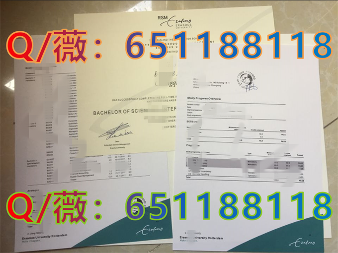 鹿特丹管理学院_副本.png