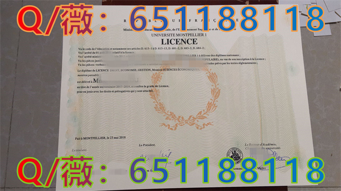 蒙彼利埃第一大学_副本1.jpg