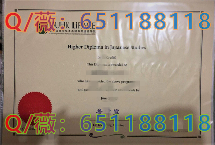 香港公开大学李嘉诚专业进修学院_副本.jpg