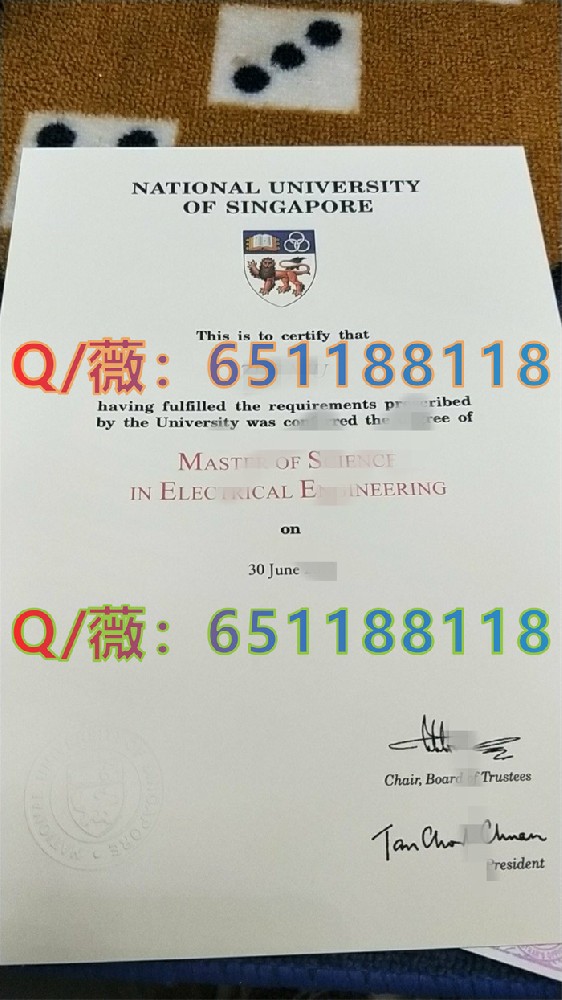 新加坡国立大学 (2)_副本.jpg
