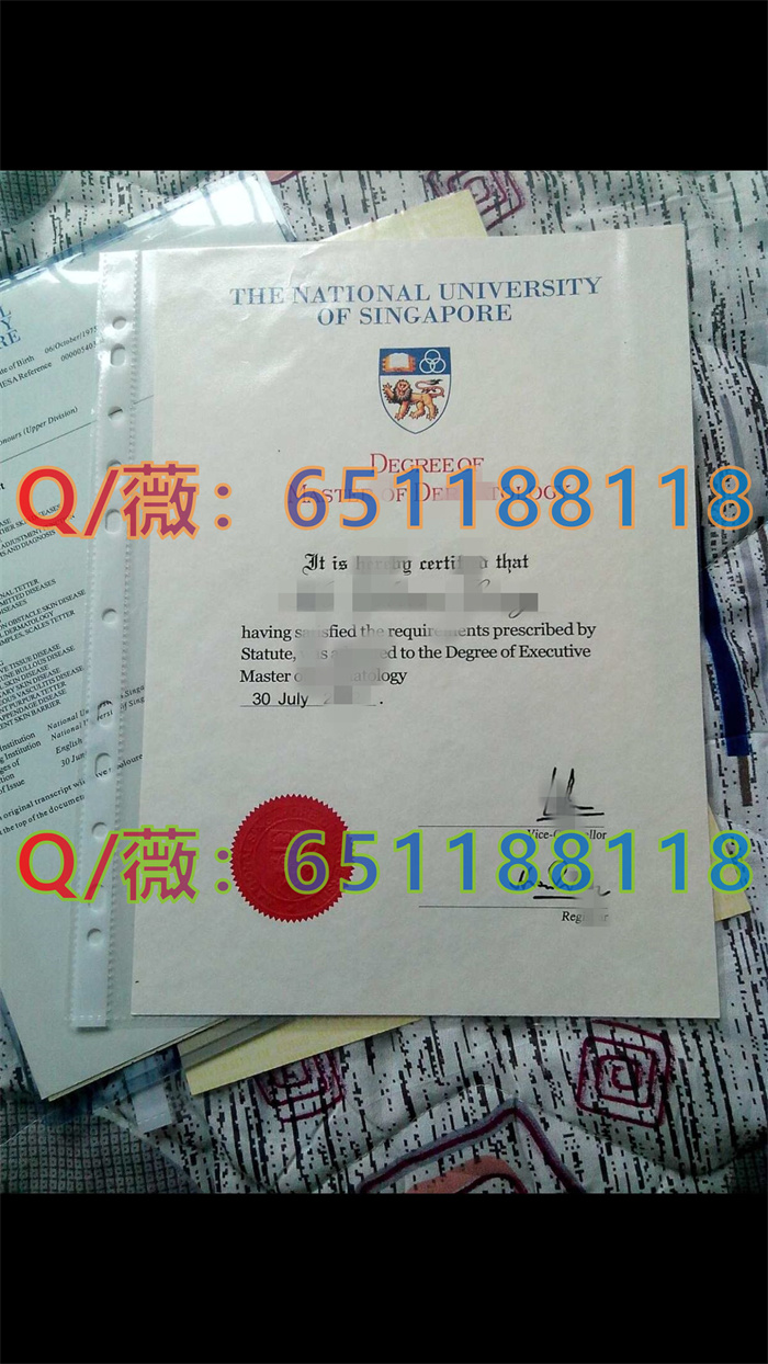 新加坡国立大学_副本1.jpg