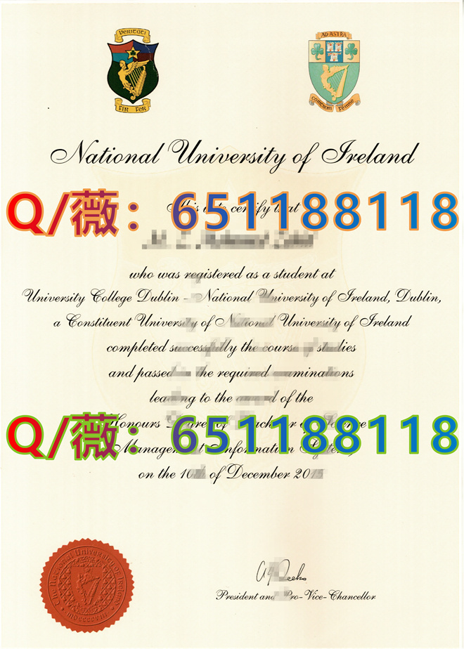 爱尔兰国立大学_副本.jpg