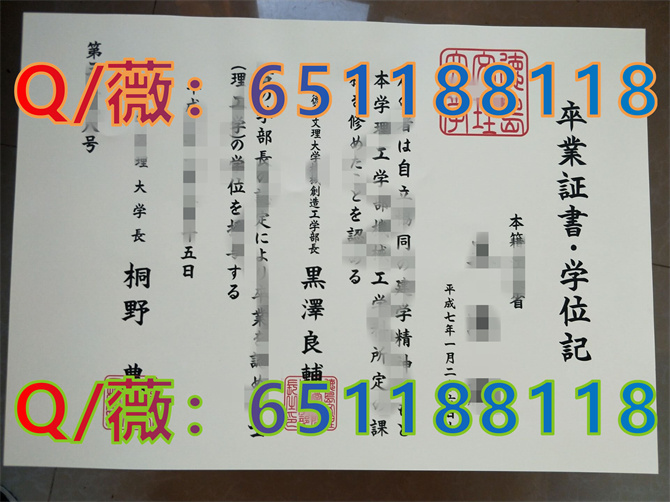 德岛文理大学_副本.jpg