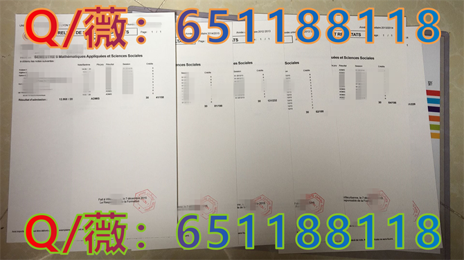 法国里昂第一大学_副本.png