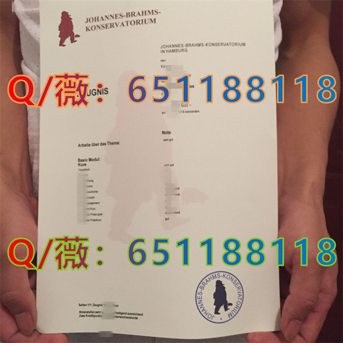 汉堡勃拉姆斯音乐学院_副本.jpg