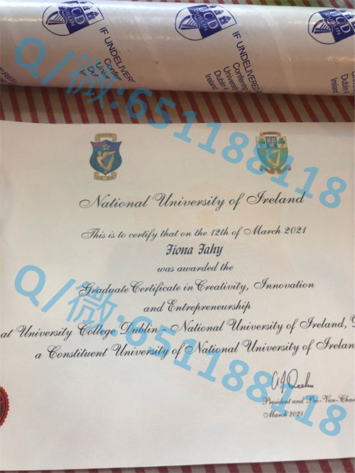 爱尔兰国立大学毕业证样本.jpg