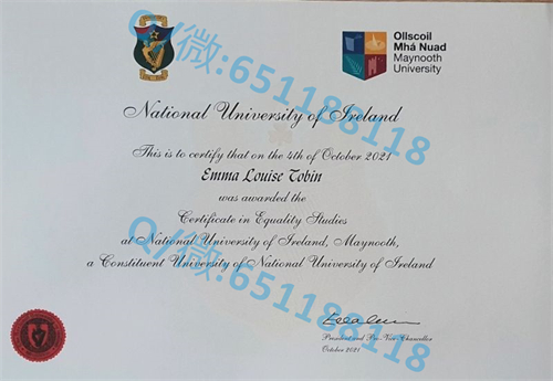 爱尔兰国立梅努斯大学毕业证样本.jpg