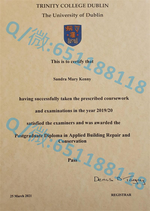 都柏林大学毕业证圣三一学院毕业证样本.jpg