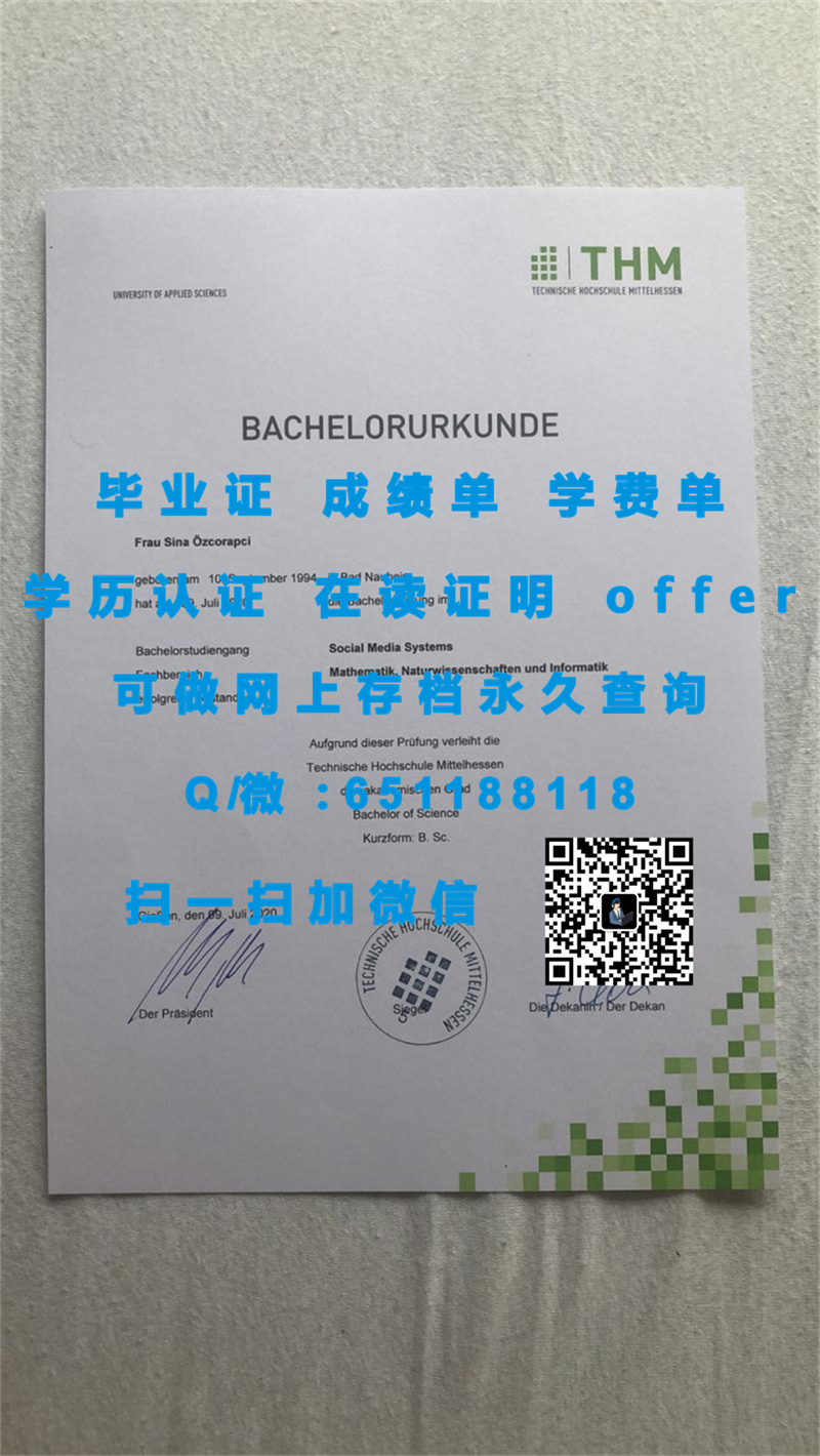 海德堡大学（定制毕业证、文凭、成绩单、认证入网、OFFER）_定制学历证书_定制毕业证学信网能查到