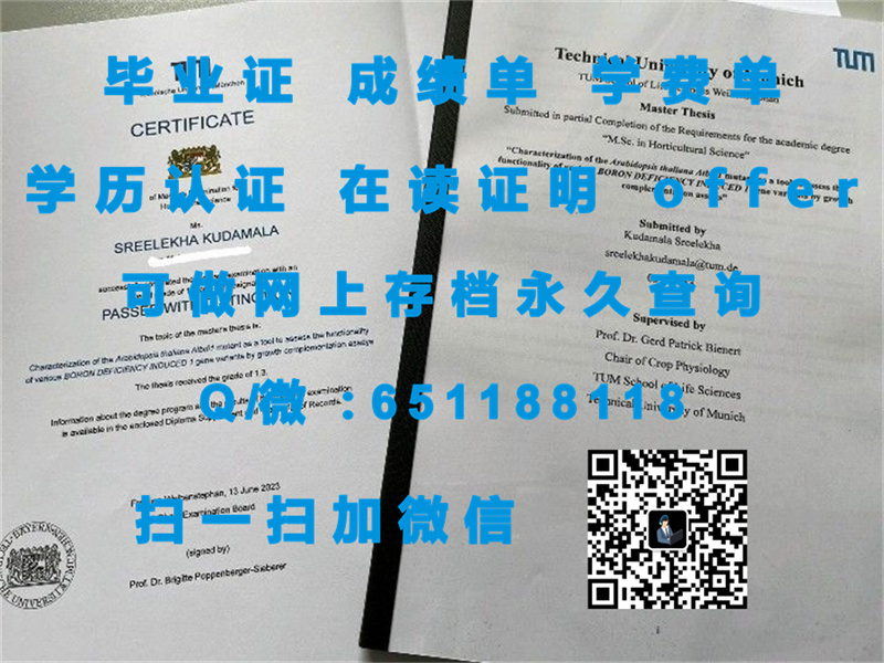 希尔德斯海姆大学（定制毕业证、文凭、成绩单、认证入网、OFFER）_希尔德斯海姆大学（定制毕业证、文凭、成绩单、认证入网、OFFER）_希尔德斯海姆大学（定制毕业证、文凭、成绩单、认证入网、OFFER）