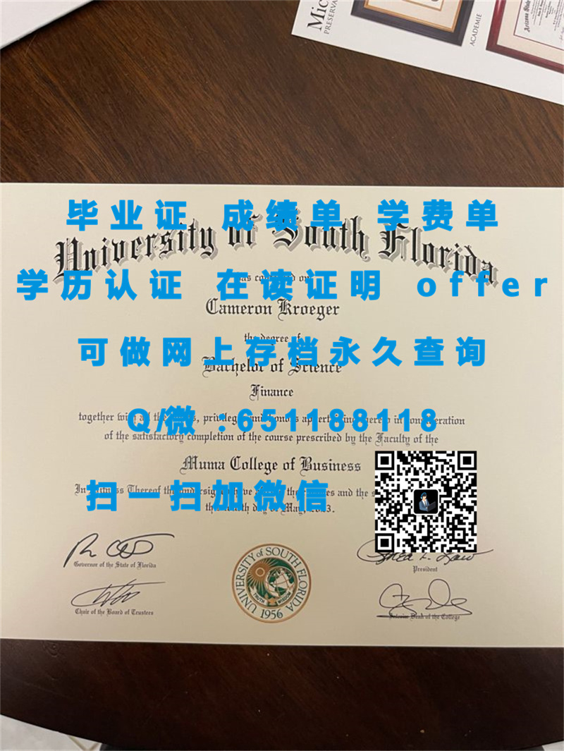宾夕法尼亚洛克海文大学 (洛克海文)LOCK HAVEN UNIVERSITY OF PENNSYLVANIA (LOCK HAVEN)（定制毕业证、文凭、成绩单、认证入网、OFFER）_洛克海文大学_洛克海文围巾