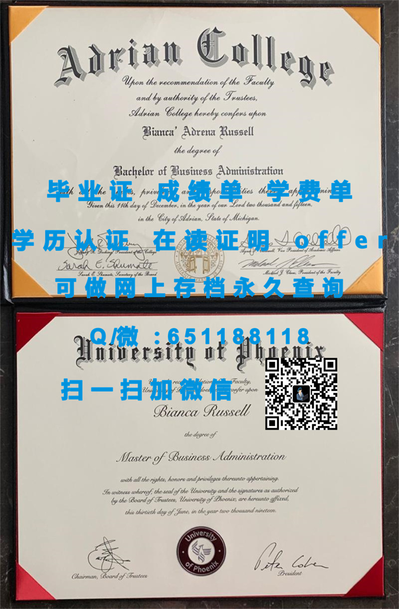 中国学位与教育文凭认证_教育部文凭认证中心_东北伊利诺斯大学（芝加哥）NORTHEASTERN ILLINOIS UNIVERSITY (CHICAGO)_副本（定制毕业证、文凭、成绩单、认证入网、OFFER）