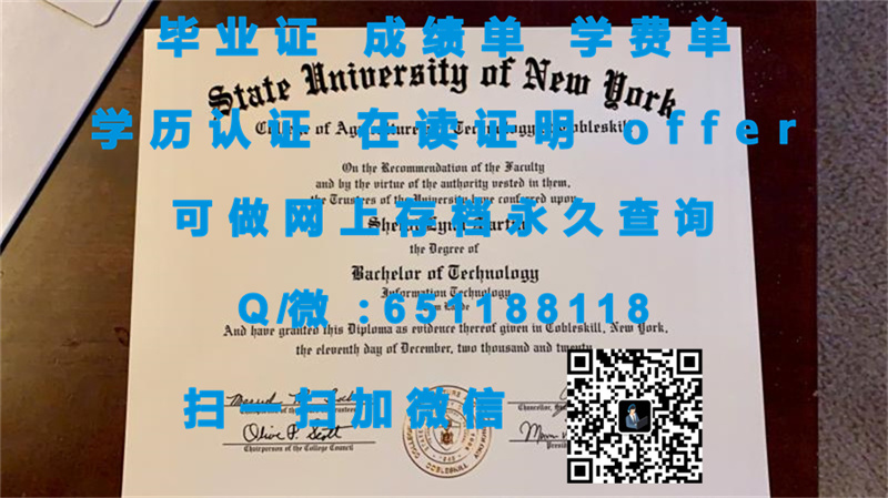 密歇根大学蒂尔伯恩分校（蒂尔伯恩）UNIVERSITY OF MICHIGAN-DEARBORN (DEARBORN)_副本（定制毕业证、文凭、成绩单、认证入网、OFFER）_伯恩大专去是什么级别_分校文凭