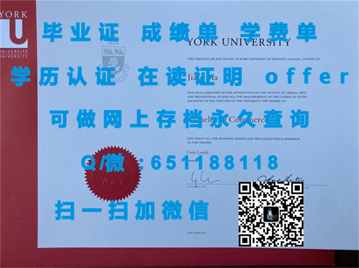 《探索世界顶级大学的留学之路：揭秘海外学子生活与学术挑战》