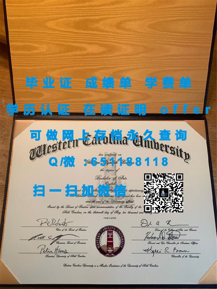应对挑战：玛丽华盛顿大学学生丢失毕业证后的解决方案及新证获取流程