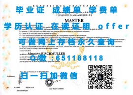 《斯图加特大学学位认证揭秘：如何获取含金量高的毕业证书》