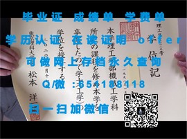 《香港大学文凭魅力揭秘：全球认可，成就非凡人生起点》