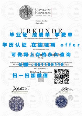 《新西兰奥克兰大学文凭：揭秘真实含金量与求职优势》
