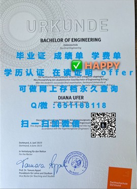 《揭秘里贾纳大学真迹：深度解析毕业证含金量与全球认可度》