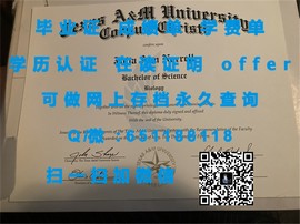 《香港大学证书魅力揭秘：含金量高、就业前景广阔的留学敲门砖》