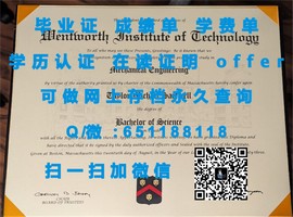《麦吉尔大学学历认证详解：如何获取真实、权威的毕业证书》