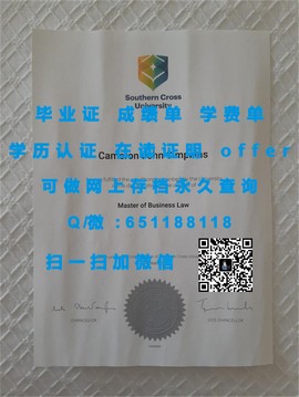 《香港大学文凭：权威认证背后的学术魅力与就业优势》