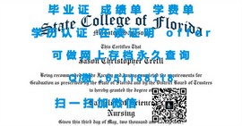 《揭秘龙比亚大学毕业证文凭成绩单样本：真实与假象的较量》