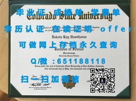 《揭秘蒂赛德大学毕业证文凭成绩单样本，一睹名校风采》