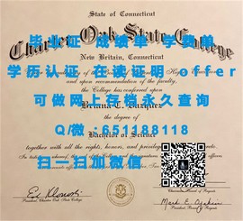 《揭秘阿贝学院！一窥毕业证、文凭、成绩单样本的权威真相》